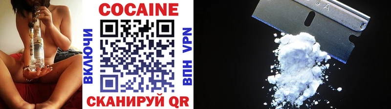 Cocaine FishScale  Купить  Дудинка 