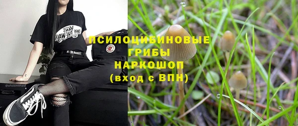 бошки Коряжма